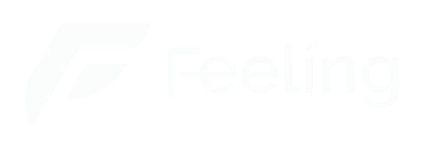 Feeling.vn